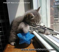 Gatti (75)